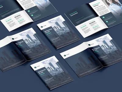 Business Plan Development